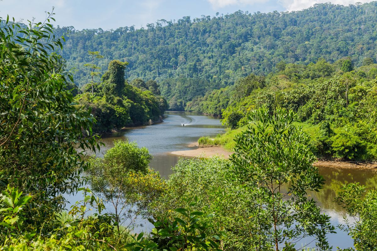 Ulu Temburong National Park